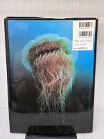 日本の海大百科 阪急コミュニケーションズ 倉沢 栄一