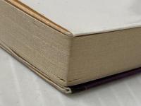 玩具 (集英社文庫) 集英社 津村 節子