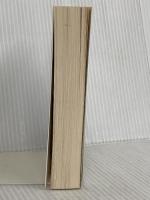 冥闇 (小学館文庫 フ 6-1) 小学館 ギリアン フリン