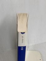 冥闇 (小学館文庫 フ 6-1) 小学館 ギリアン フリン