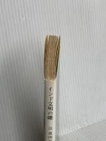 インド文明の曙: ヴェーダとウパニシャッド (岩波新書 青版 619) 岩波書店 辻 直四郎