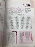 決定版　体を温める食べ物＆食べ方 河出書房新社 石原 結實