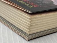 山口百恵大年鑑 -引退・結婚記念版 (ケイブンシャの大百科) 勁文社 ホリ・プロダクション