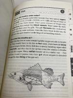 アメリカの中学教科書で英語を学ぶ CD BOOK ベレ出版 林 功