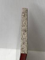 コカコ-ラ・レッスン 思潮社 谷川俊太郎