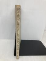 【※カバー無し】銀行員はEXCELをこう使う (融資編) 金融財政事情研究会 木下 泰