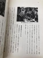 平和をつくる教育: 軍隊をすてた国コスタリカの子どもたち (岩波ブックレット NO. 575) 岩波書店 早乙女 愛