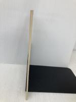 大切なものは目に見えない: 星の王子さまを読む (岩波ブックレット NO. 387) 岩波書店 宮田 光雄