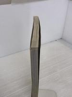 ファイナルファンタジーXI 電撃の旅団 編 ヴァナ・ディール公式ワールドガイド ジョブ2009【下巻】