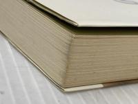 ※イタミ有 熱中時代 3 刑事編 日本テレビ 新樹瞳志