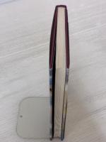 オーロラ交響曲の冬 (ものがたりうむ) 河出書房新社 山口 泉