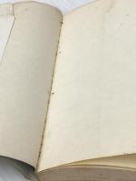 ※イタミ有 カレーの秘伝―これこそ最高の家庭料理 (カッパ・ホームス) 光文社 ホルトハウス房子