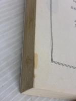 【※イタミ有り】黒白の囮 新装版 高木彬光コレクション 光文社 高木 彬光