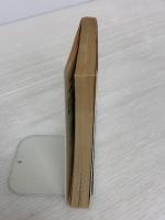 宝石とその殺意 (集英社文庫 24-O) 集英社 佐野 洋