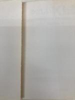 やさしいKI法: 磯部式問題解決法で生産性を上げよう 日本規格協会 磯部 邦夫