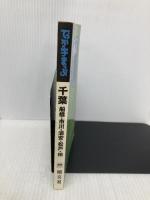 でっか字まっぷ 千葉 船橋・市川・浦安・松戸・柏 (でっか字 地図 | マップル) 昭文社 昭文社 地図 編集部