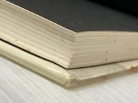 桜花の領―稲葉京子歌集 (1984年) (昭和歌人集成〈19〉) 短歌新聞社 稲葉 京子