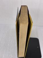 【※イタミ有り】サヴィルの青春 (現代の世界文学) 集英社 デイヴィッド スト-リ-