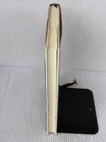 【※書き込み有り】企業文化―生き残りの指針 白桃書房 E.H.シャイン