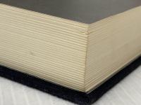 死霊 講談社 埴谷雄高