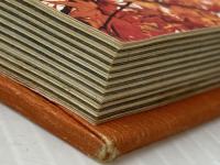 近江山河抄 (1974年)