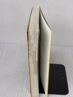 大学入試 世界一わかりやすい 英文読解の特別講座 KADOKAWA/中経出版 関 正生