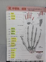 【※カバー無し・書き込み有り】骨単: 語源から覚える解剖学英単語集 エヌ・ティー・エス 原島広至