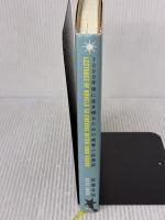 1000年後に生き残るための青春小説講座 講談社 佐藤 友哉