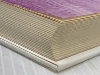 ※イタミ有 アリスの国の言葉たち: 高橋康也対談集 新書館 高橋康也