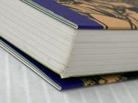 琴剣の「ちゃんこ道場」 ベースボール・マガジン社 琴剣淳弥