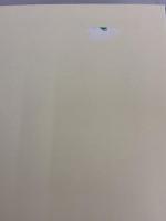 伊勢物語の享受に関する研究: 早歌の中の『伊勢物語』