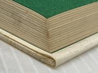 ホークライン家の怪物: ゴシック・ウェスタン 晶文社 リチャード ブローティガン