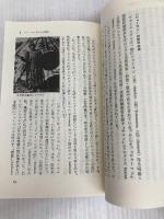 シャーマニズム: エクスタシーと憑霊の文化 (中公新書 587) 中央公論新社 佐々木 宏幹