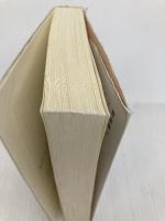 荒涼館(二) (岩波文庫) 岩波書店 ディケンズ