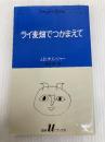ライ麦畑でつかまえて (白水Uブックス 51) 白水社 J.D.サリンジャー