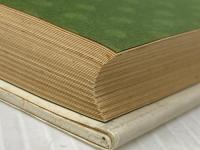 ※イタミ有 断食―いのちよみがえる (1983年)