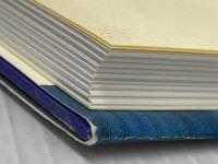 あんこまパン: 林望抒情小曲集 小学館 林 望