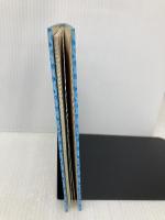 みにくいあひるの子 (南雲堂レディバード・リーダーズ 英語絵本 Grade 2 初) 南雲堂 Sue Ullstein