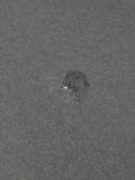 ※イタミ有 ※カバー無し 近代の超克 (1959年)