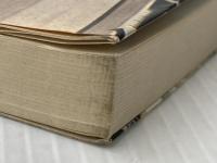 炎で描く変革の論理 (1969年)