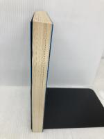 ギンズバーグ詩集 増補改訂版 思潮社