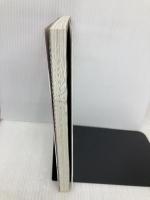 シューゲイザー・ディスク・ガイド (P-Vine Books) ブルース・インターアクションズ 黒田隆憲