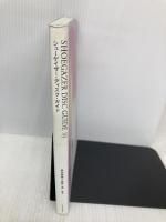 シューゲイザー・ディスク・ガイド (P-Vine Books) ブルース・インターアクションズ 黒田隆憲