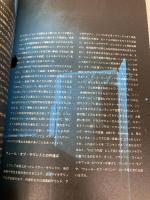 シューゲイザー・ディスク・ガイド (P-Vine Books) ブルース・インターアクションズ 黒田隆憲