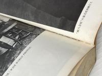 ※イタミ有 マフィア―恐怖の犯罪シンジケート (1971年) (ペガサスシリーズ)  ピーター・マーズ