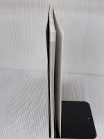 【※イタミ有り】音楽家ならだれでも知っておきたい「からだ」のこと:アレクサンダー・テクニークとボディ・マッピング 誠信書房