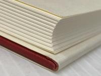 日本巨大企業の行動様式―1980年代の所有と支配 北海道大学出版会 汪 志平