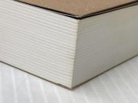 ※カバー無し 自分とか、ないから。教養としての東洋哲学 (サンクチュアリ出版) サンクチュアリ出版 しんめいP