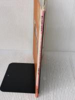 【※イタミ有り】絶対失敗しないシフォンケーキ 2 (おいしいホームメイド) 雄鶏社 石橋 かおり