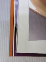 【※イタミ有り】絶対失敗しないシフォンケーキ 2 (おいしいホームメイド) 雄鶏社 石橋 かおり